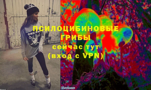 mdma Заводоуковск