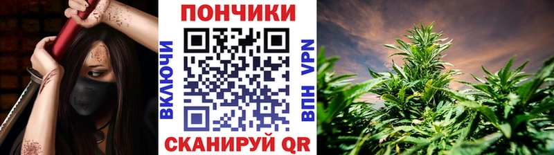 Марихуана гибрид  цена   Ногинск 